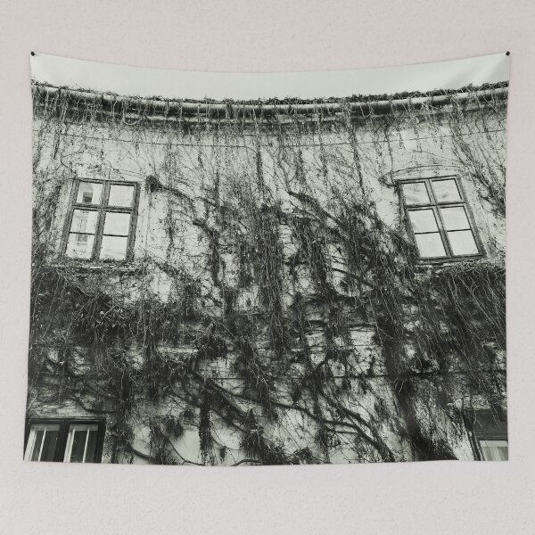Item preview, Old house wall overgrown with running plants in winter - Esztergom, Hungary designed and sold by Istvan Ocztos.