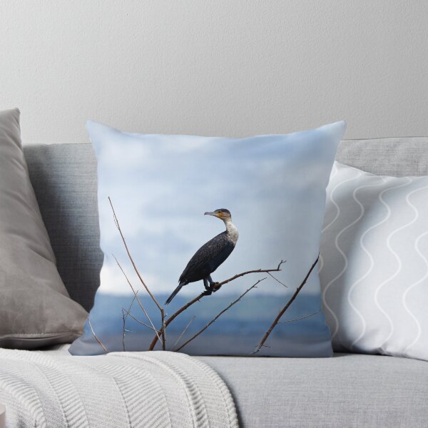 Item preview, Great Cormorant designed and sold by Sue Robinson.