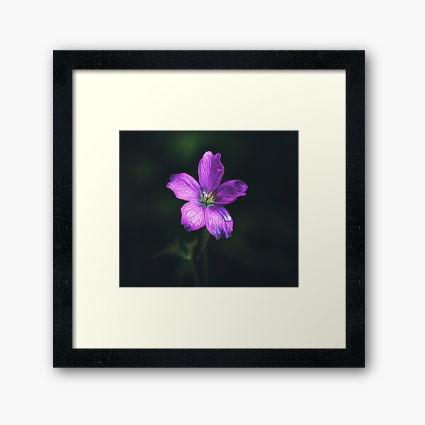 In a different light Framed Art Print