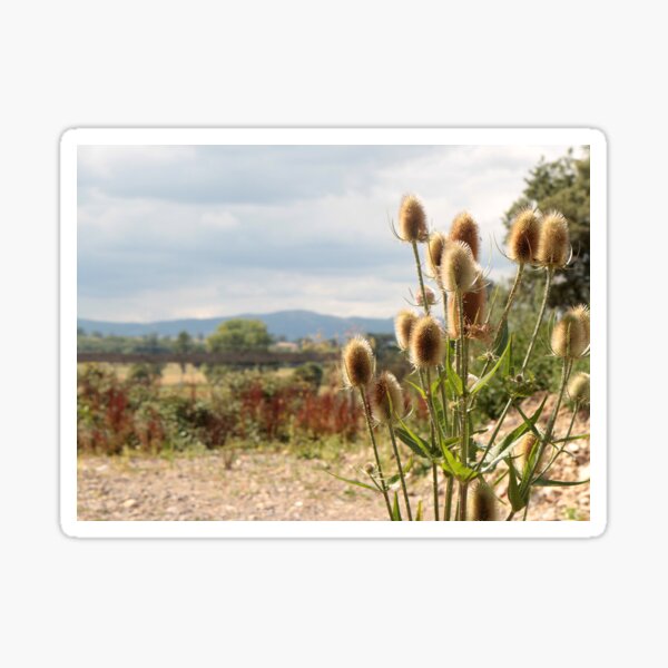 View from Croome Park, England Sticker