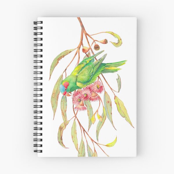 Aperçu de l'œuvre Aquarelle de loriquet musqué et branche d'eucalyptus créée et vendue par Zoya Makarova.