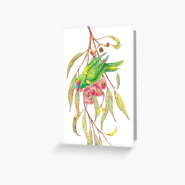 Musk Lorikeet and eucalyptus branch watercolour painting Greeting Card