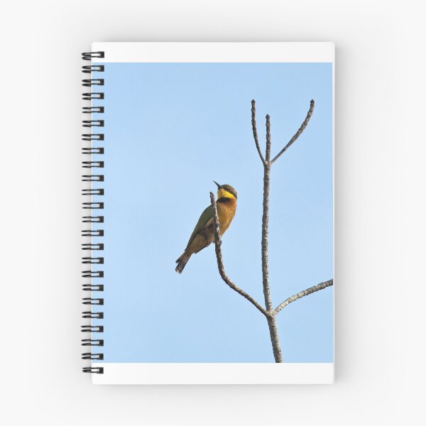 Item preview, Little Bee-eater designed and sold by Sue Robinson.