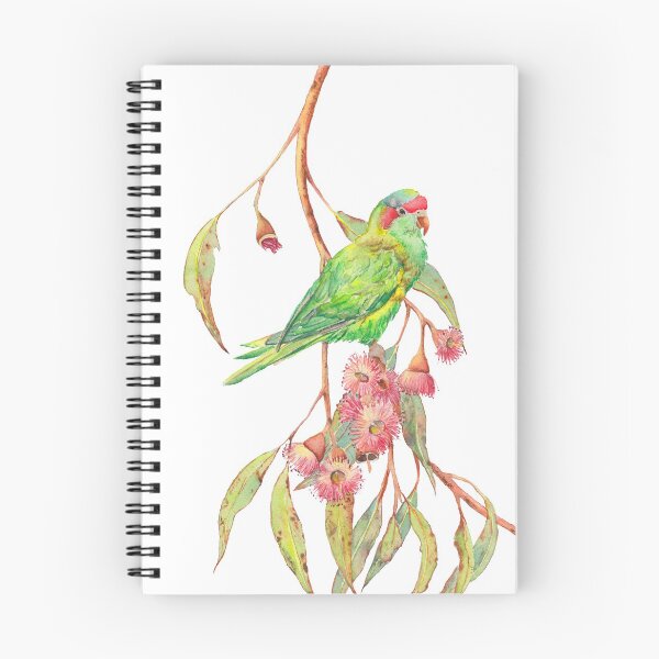 Item preview, Musk Lorikeet and eucalyptus branch watercolour painting designed and sold by Zoya Makarova.