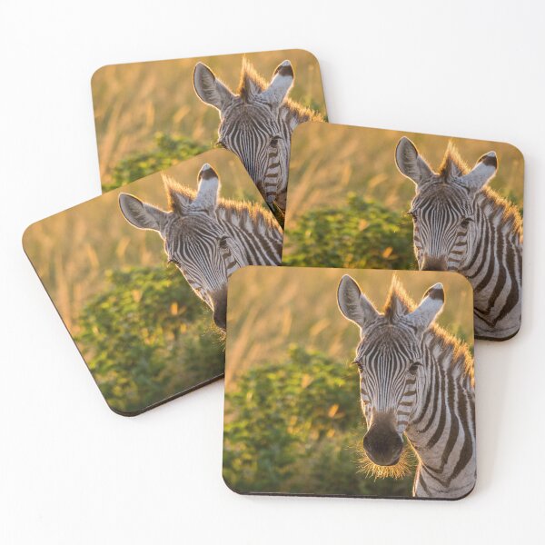 Item preview, Zebra beard in the morning light designed and sold by Ingo Gerlach.