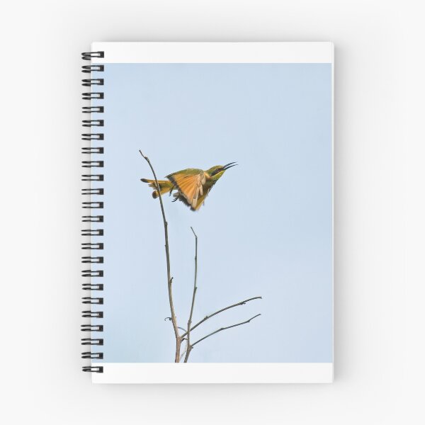 Item preview, Little Bee-eater taking flight designed and sold by Sue Robinson.