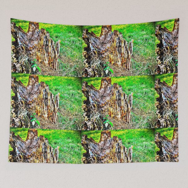 Item preview, Surroundings designed and sold by TmartUS.