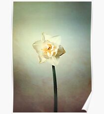 Spring flower Poster