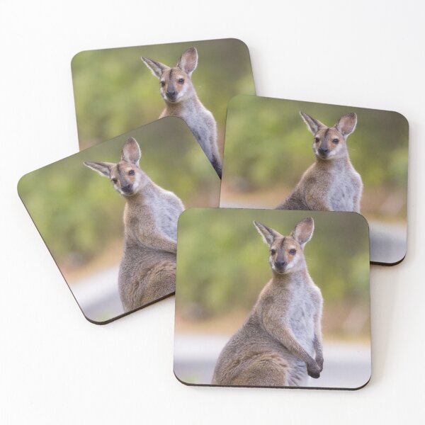 Item preview, Red-necked or Bennett's Wallaby (Macropus rufogriseus)  designed and sold by Trent Townsend.
