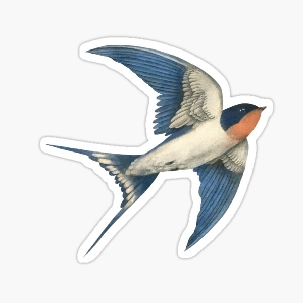 Swallow #2 sticker - bird mafia