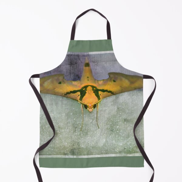 Item preview, Large South American Moth designed and sold by alabca.