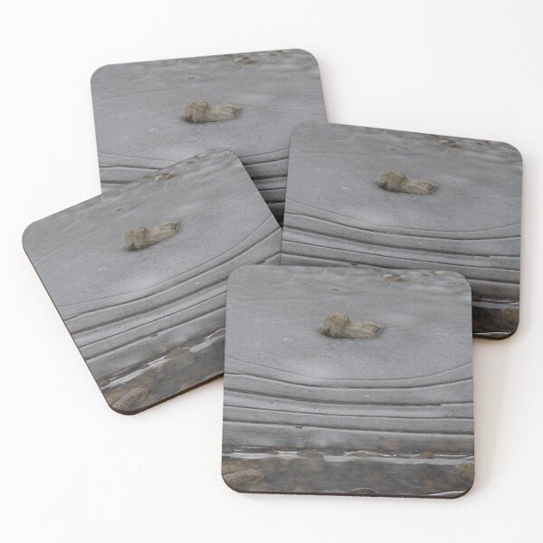 Item preview, Zen Garden icy designed and sold by VieClaud.