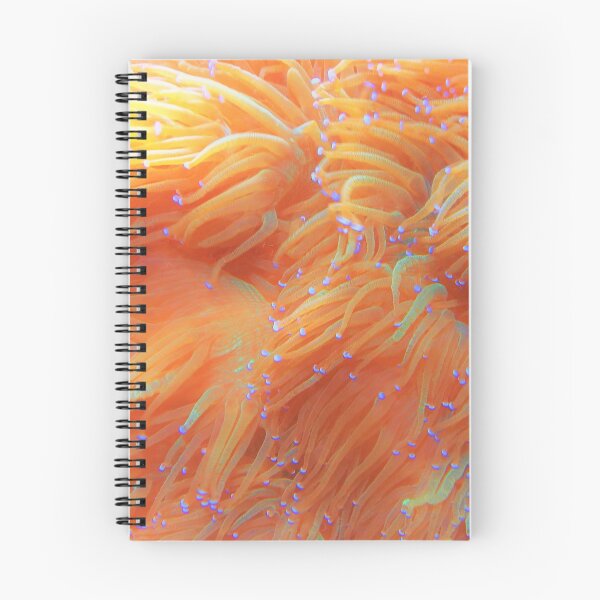 Item preview, Neon anemones, orange and blue designed and sold by DeVeauDesign.