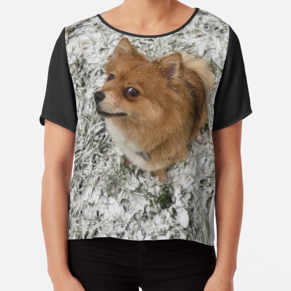 Vinny the dog sees snow Chiffon Top