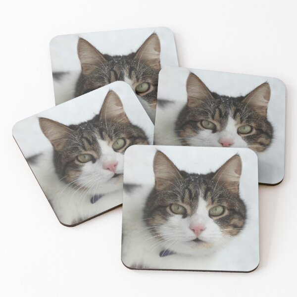 Item preview, Portrait of cute fluffy cat designed and sold by olena2552.