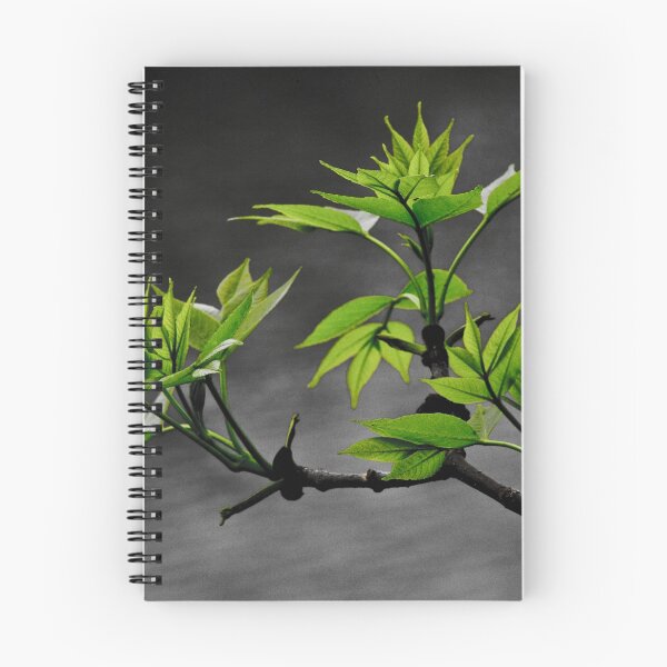 Item preview, New Life designed and sold by Adam Bykowski.
