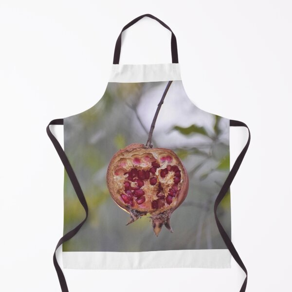 Item preview, Split Pomegranate in Jerusalem designed and sold by DanaLauraPhoto.