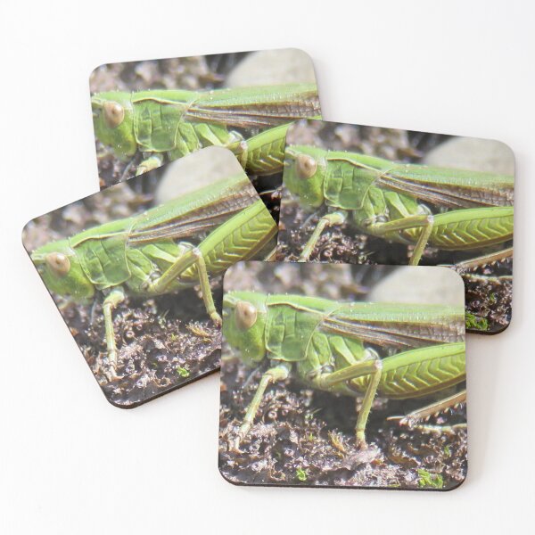 Artikelvorschau, Grass Hopper von Liam Hooper entworfen und verkauft von LH_WildLens.