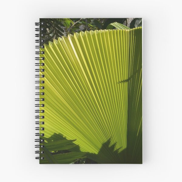 Item preview, Fan Plant designed and sold by Imagery.