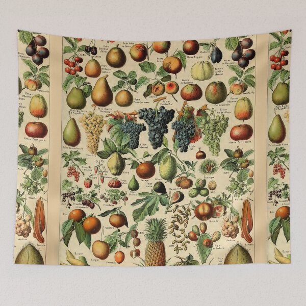 Item preview, Varieties of Fruit chart poster art - Adolphe Millot  designed and sold by Vintage Designs +.