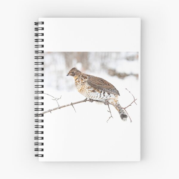 Item preview, Ruffed Grouse designed and sold by James Cumming.