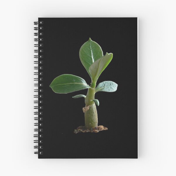 Item preview, Adenium Sapling designed and sold by JStuartArt.