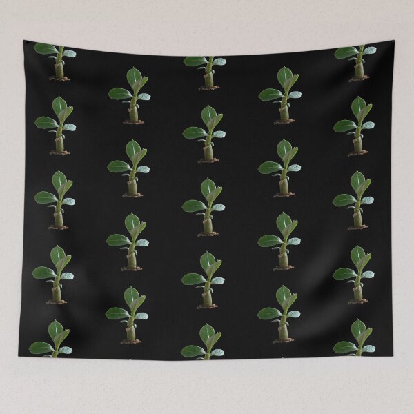 Item preview, Adenium Sapling designed and sold by JStuartArt.