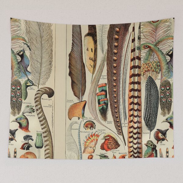 Item preview, Bird feather types plumes-pour tous chart poster art - Adolphe Millot  designed and sold by Vintage Designs +.