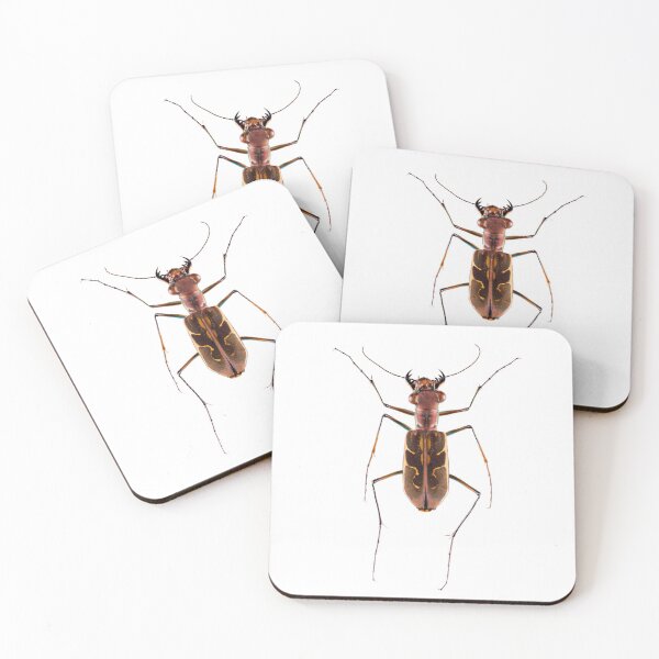 Item preview, Tiger Beetle (Hipparidium heros) designed and sold by Tim Christensen.