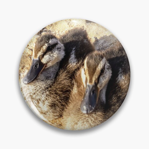 Item preview, Mallard chickens Duck nestlings on the sand designed and sold by Tanja Dianova.