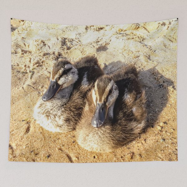 Item preview, Mallard chickens Duck nestlings on the sand designed and sold by Tanja Dianova.