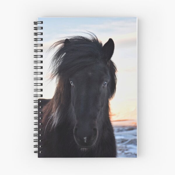 Item preview, Blue eyed horse designed and sold by elisainiceland.