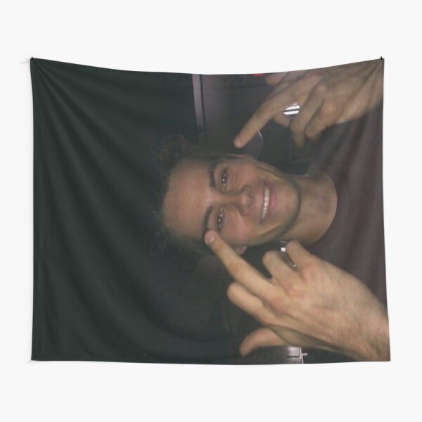 dylan o’brien dedos medios Tela decorativa
