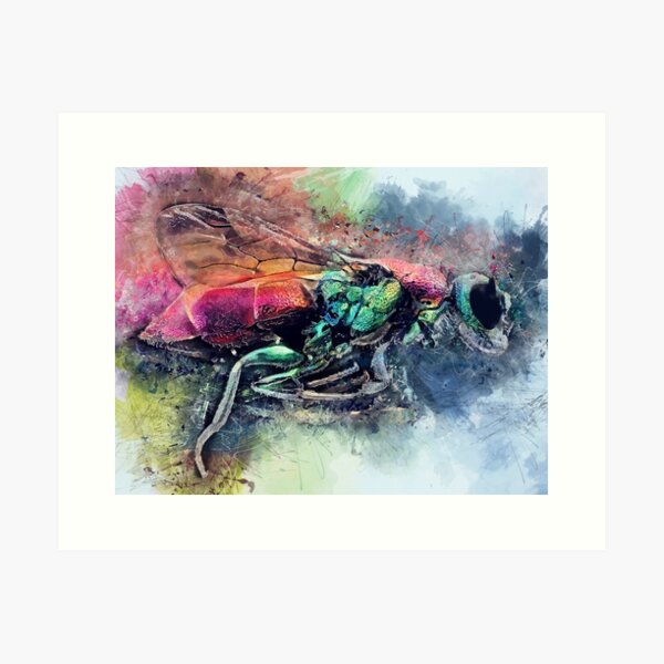 Housfly Art Print