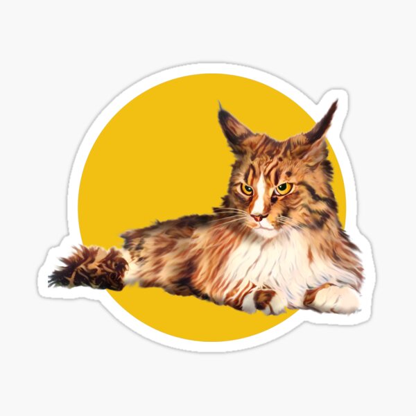 Cool Maine Coon Cat art graphic design Sticker