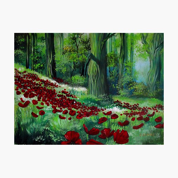 Photographic Print