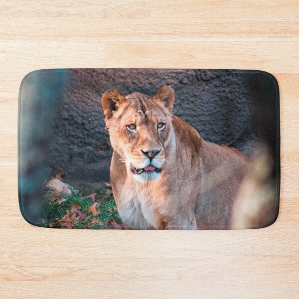 Item preview, Lioness prowling around an enclosure designed and sold by Michael Deemer.