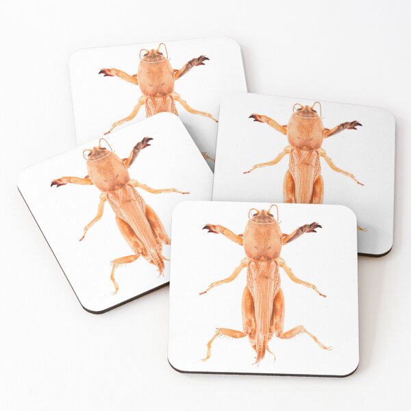 Item preview, Tawny Mole Cricket (Neoscapteriscus vicinus) designed and sold by Tim Christensen.