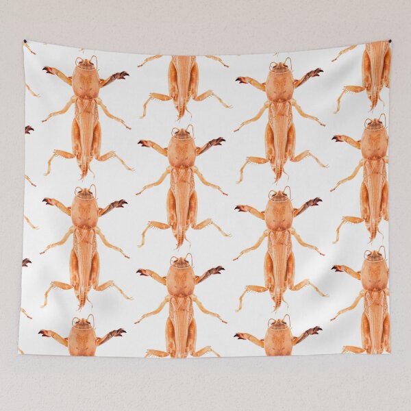 Item preview, Tawny Mole Cricket (Neoscapteriscus vicinus) designed and sold by Tim Christensen.