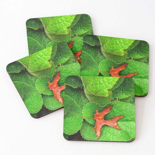 Item preview, Lone Maple designed and sold by Julie Pickering.