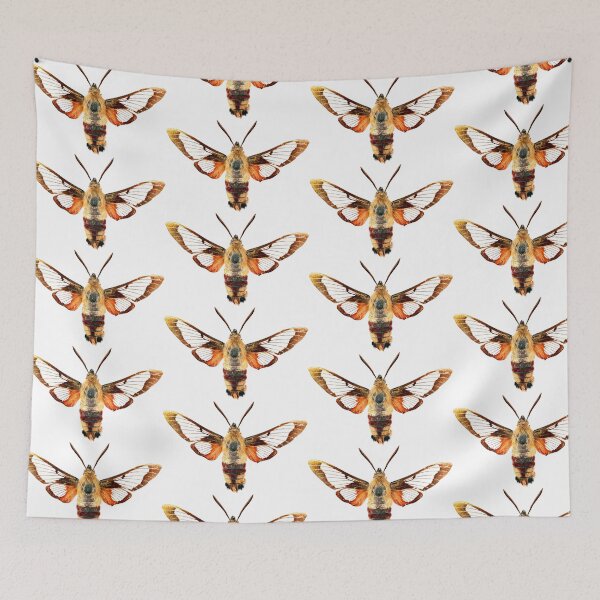 Item preview, Hummingbird Clearwing moth (Hemaris thysbe) designed and sold by Tim Christensen.