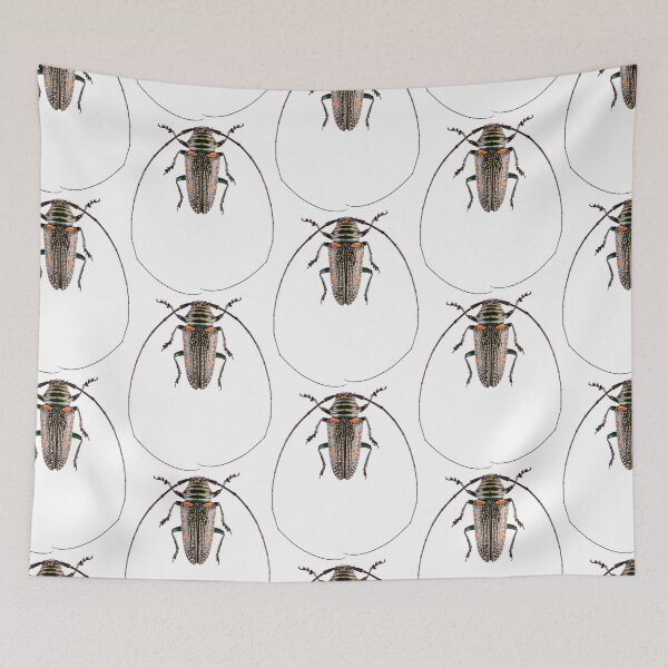 Item preview, Long Horn beetle (Zographus regalis) designed and sold by Tim Christensen.