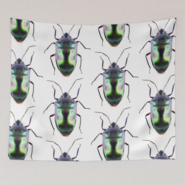 Item preview, Shield Bug (chrysocoris) designed and sold by Tim Christensen.