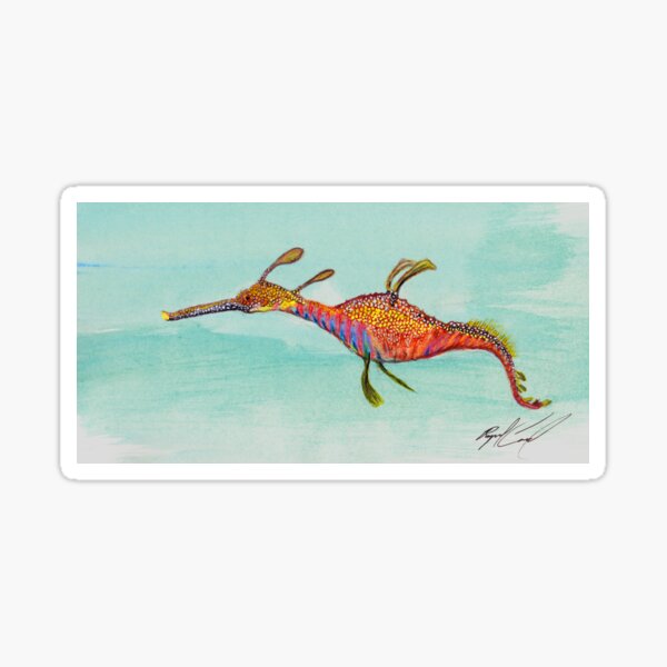 Weedy Sea Dragon Sticker