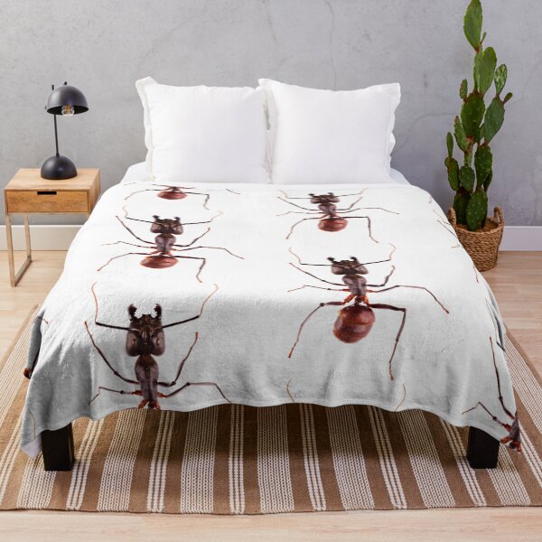 Item preview, Giant Forest Ant (Camponotus gigas) designed and sold by Tim Christensen.