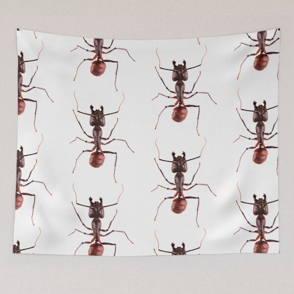 Item preview, Giant Forest Ant (Camponotus gigas) designed and sold by Tim Christensen.