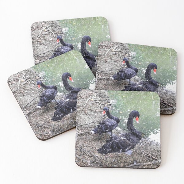 Item preview, Black swans near the lake Animals photo designed and sold by Tanja Dianova.