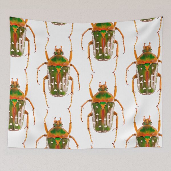 Item preview, Spotted Flower Beetle (Stephanorrhina guttata ashantica) designed and sold by Tim Christensen.
