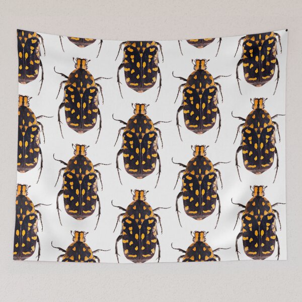 Item preview, Scarab Beetle (Euchroea vadoni) designed and sold by Tim Christensen.