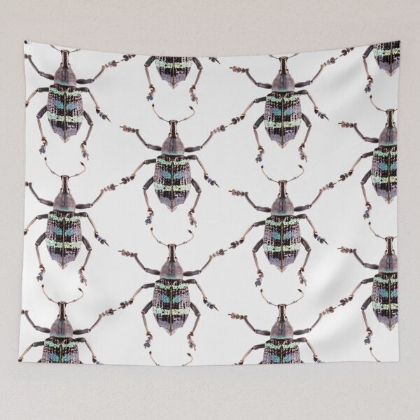 Item preview, Magnificent Weevil (Eupholus magificus)  designed and sold by Tim Christensen.